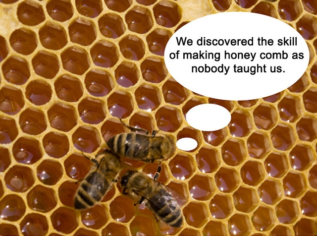 Якщо говорити про бджолиному воску, то про його цінні властивості знали ще в Стародавньому Єгипті