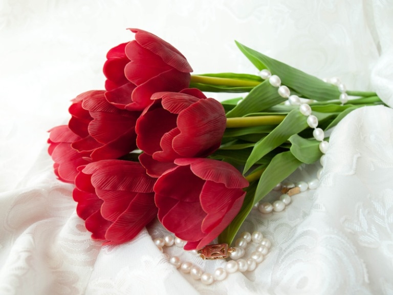 червоні тюльпани