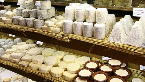 Сир - один з найбільш древніх кулінарних продуктів, відомих людству