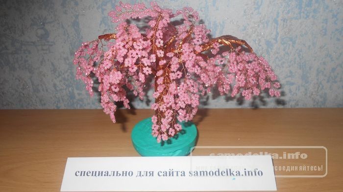 Квітуче дерево сакури легко впишеться в якості декору в ваш інтер'єр